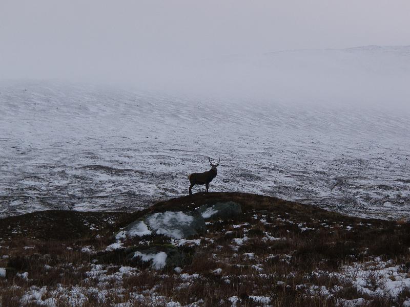 25th Dec 15 (35).JPG